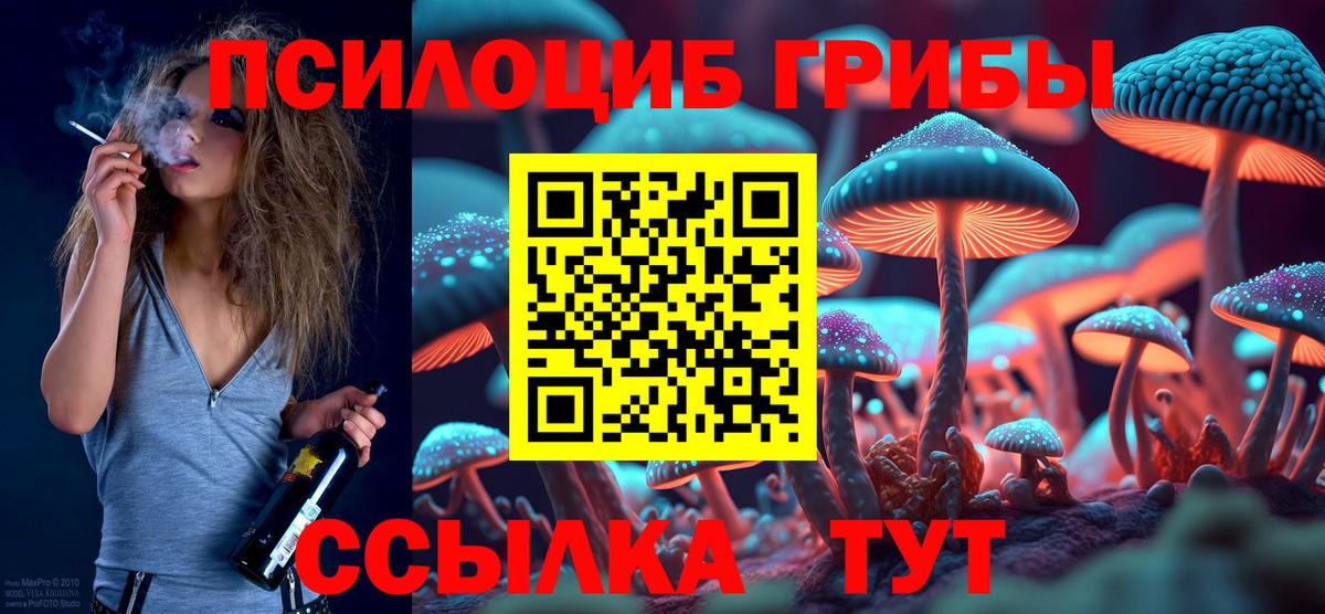 закладки  Вход с VPN  Шебекино  Псилоцибиновые грибы Cubensis 